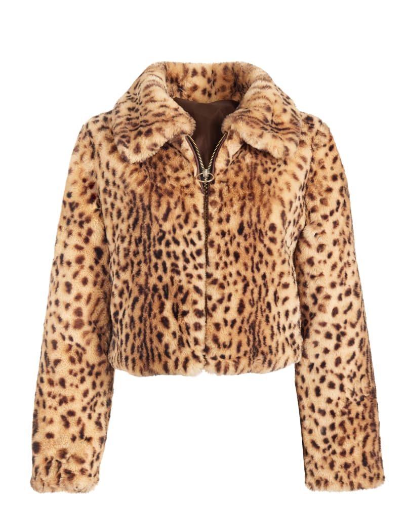 Chubby jacket shop